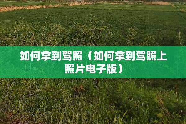 如何拿到驾照（如何拿到驾照上照片电子版）