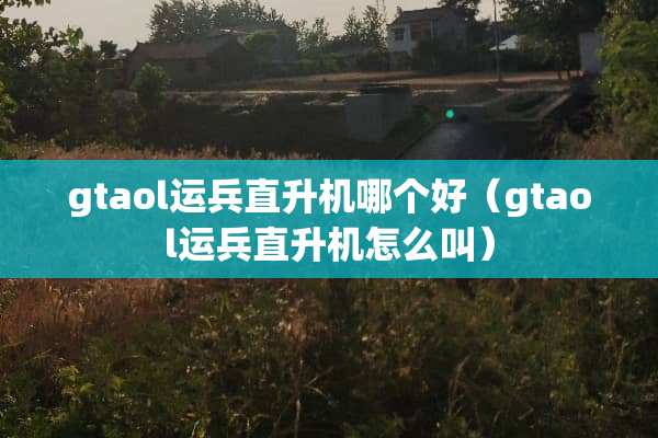 gtaol运兵直升机哪个好（gtaol运兵直升机怎么叫）