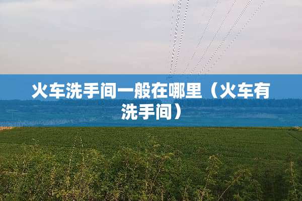 火车洗手间一般在哪里（火车有洗手间）