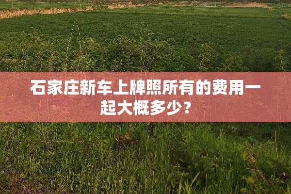 石家庄新车上牌照所有的费用一起大概多少？