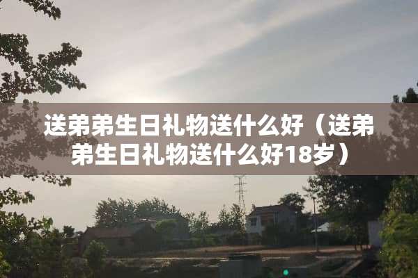 送弟弟生日礼物送什么好（送弟弟生日礼物送什么好18岁）