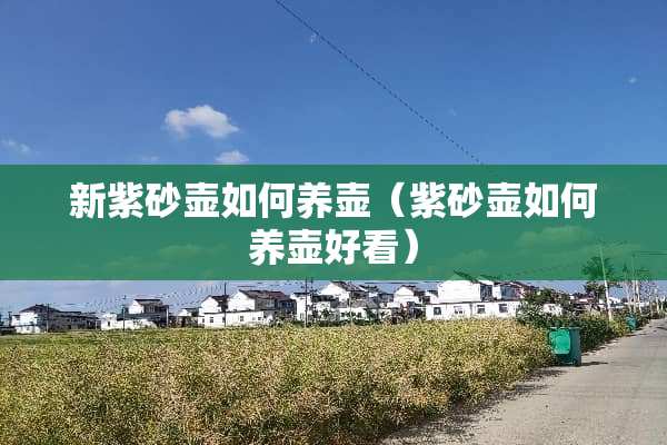 新紫砂壶如何养壶（紫砂壶如何养壶好看）