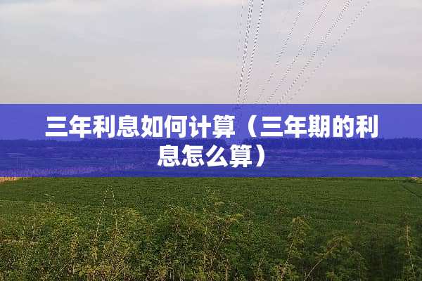 三年利息如何计算（三年期的利息怎么算）