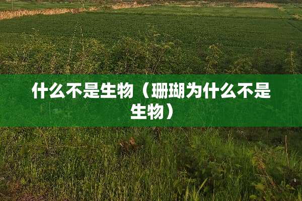 什么不是生物（珊瑚为什么不是生物）