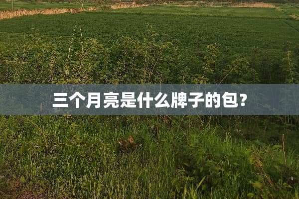 三个月亮是什么牌子的包？