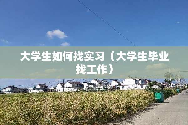 大学生如何找实习（大学生毕业找工作）