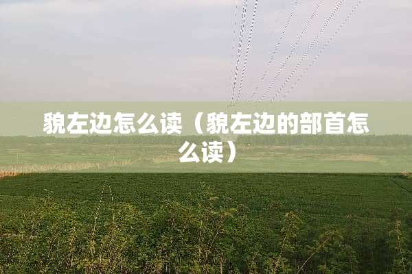 貌左边怎么读（貌左边的部首怎么读）