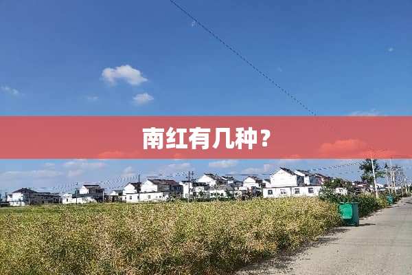 南红有几种？