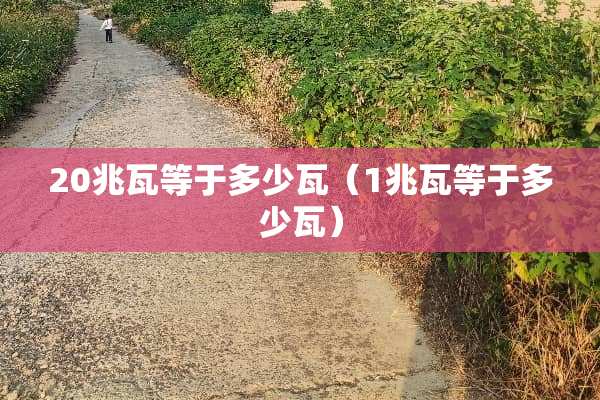 20兆瓦等于多少瓦（1兆瓦等于多少瓦）