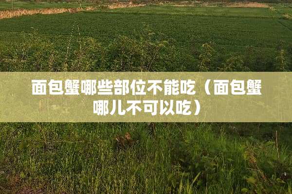 面包蟹哪些部位不能吃（面包蟹哪儿不可以吃）