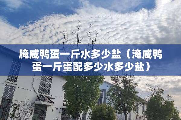 腌咸鸭蛋一斤水多少盐（淹咸鸭蛋一斤蛋配多少水多少盐）