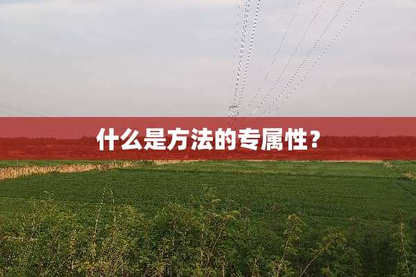 什么是方法的专属性？