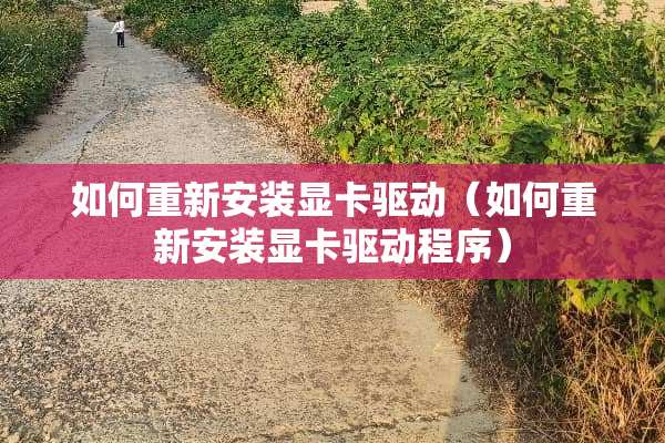 如何重新安装显卡驱动（如何重新安装显卡驱动程序）