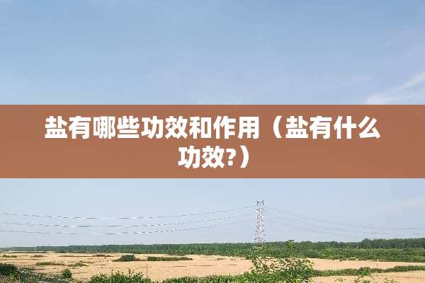 盐有哪些功效和作用（盐有什么功效?）