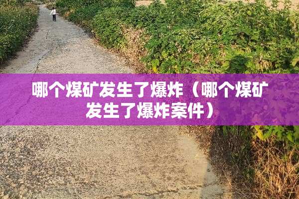 哪个煤矿发生了**（哪个煤矿发生了**案件）
