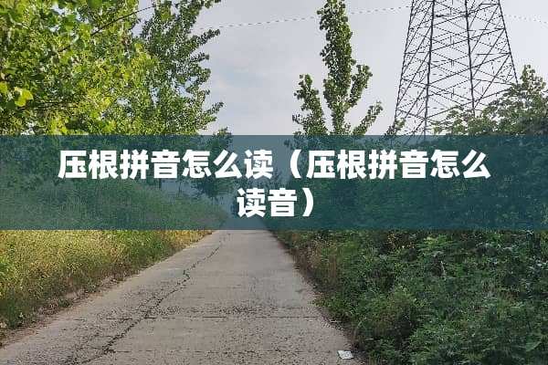 压根拼音怎么读（压根拼音怎么读音）