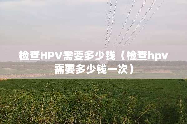 检查HPV需要多少钱（检查hpv需要多少钱一次）