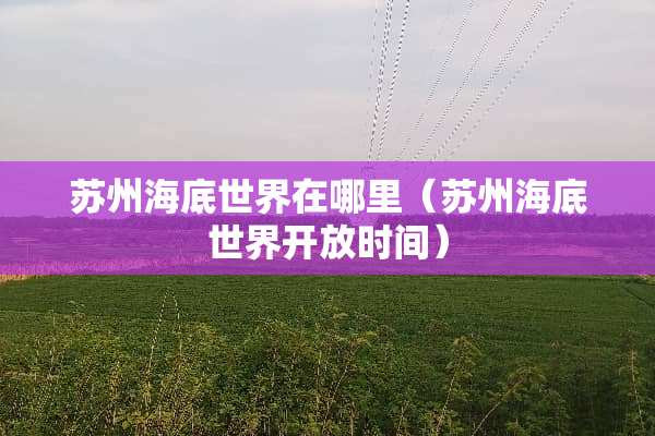 苏州海底世界在哪里（苏州海底世界开放时间）