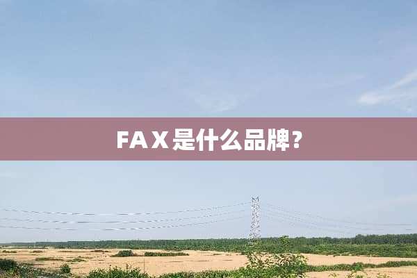 FAⅩ是什么品牌？