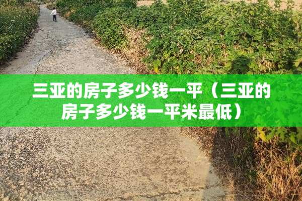 三亚的房子多少钱一平（三亚的房子多少钱一平米最低）