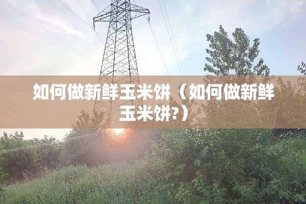 如何做新鲜玉米饼（如何做新鲜玉米饼?）