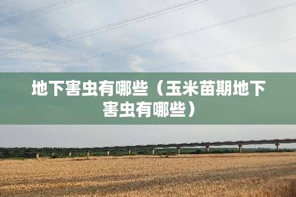 地下害虫有哪些（玉米苗期地下害虫有哪些）