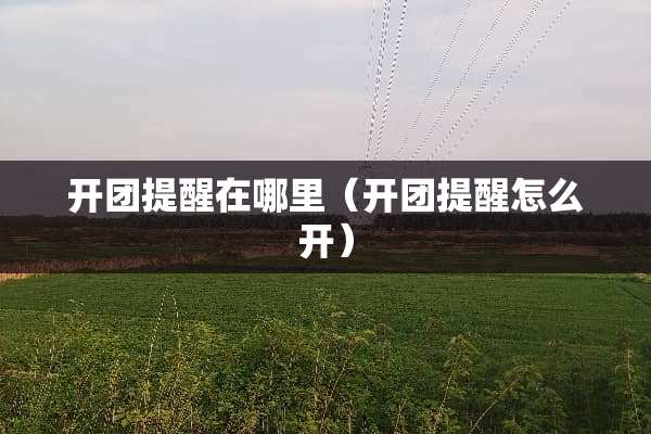 开团提醒在哪里（开团提醒怎么开）