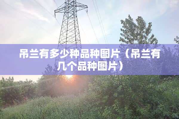 吊兰有多少种品种图片（吊兰有几个品种图片）