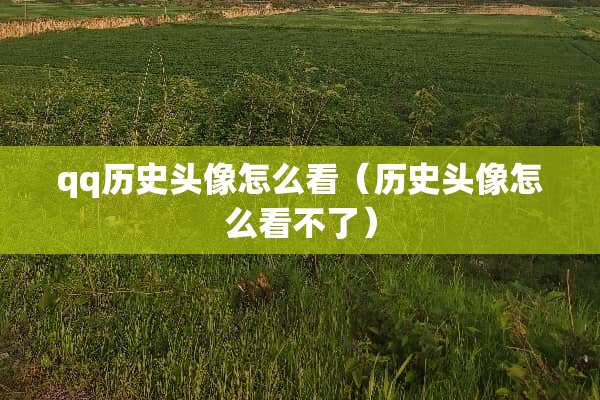 qq历史头像怎么看（历史头像怎么看不了）