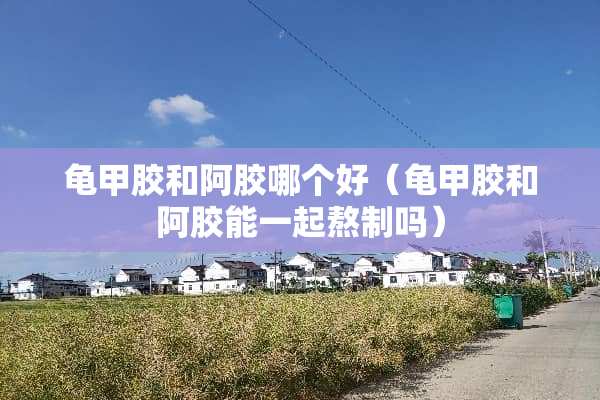 龟甲胶和阿胶哪个好（龟甲胶和阿胶能一起熬制吗）