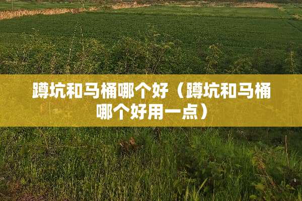 蹲坑和马桶哪个好（蹲坑和马桶哪个好用一点）