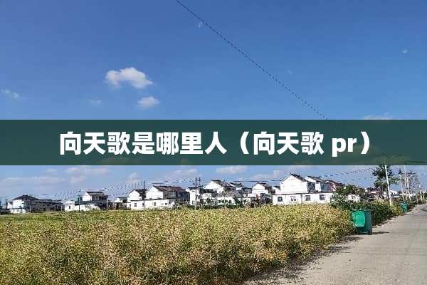 向天歌是哪里人（向天歌 pr）