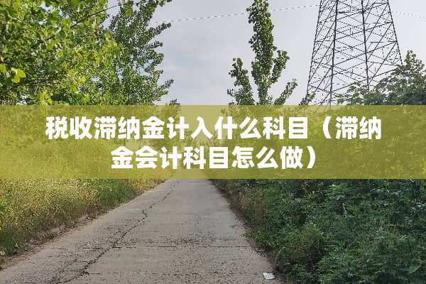 税收滞纳金计入什么科目（滞纳金会计科目怎么做）