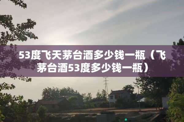 53度飞天茅台酒多少钱一瓶（飞茅台酒53度多少钱一瓶）