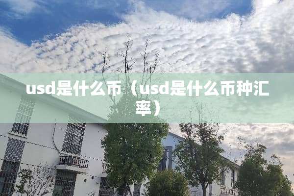 usd是什么币（usd是什么币种汇率）