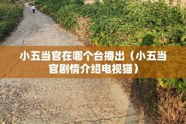 小五当官在哪个台播出（小五当官剧情介绍电视猫）