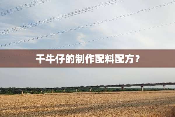 干牛仔的制作配料配方？