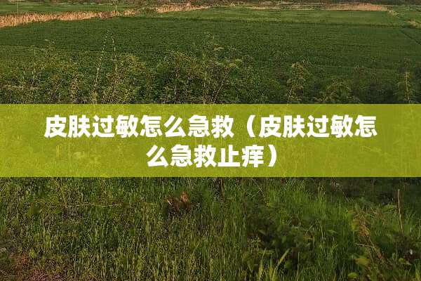 皮肤过敏怎么急救（皮肤过敏怎么急救止痒）