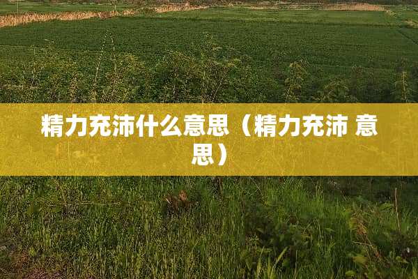 精力充沛什么意思（精力充沛 意思）