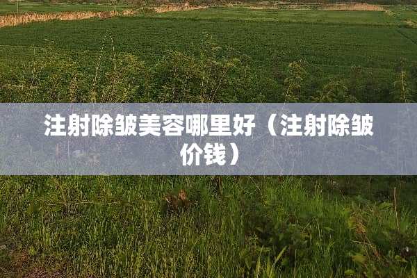 注射除皱美容哪里好（注射除皱价钱）