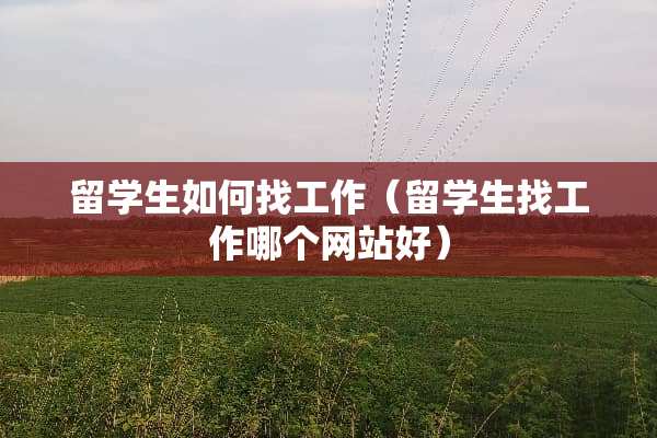 留学生如何找工作（留学生找工作哪个网站好）