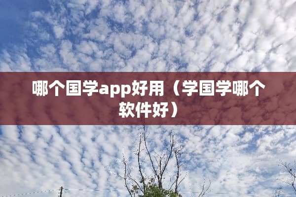 哪个国学app好用（学国学哪个软件好）
