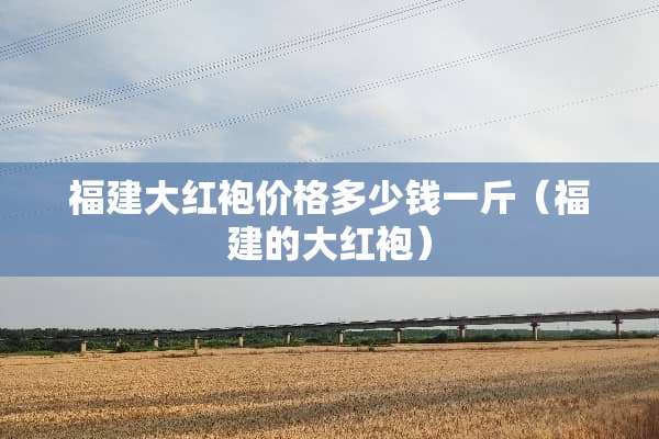 福建大红袍价格多少钱一斤（福建的大红袍）