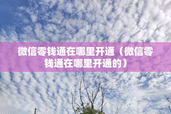 微信零钱通在哪里开通（微信零钱通在哪里开通的）