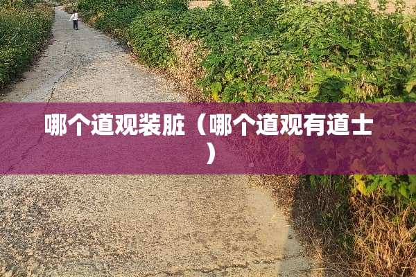 哪个道观装脏（哪个道观有道士）
