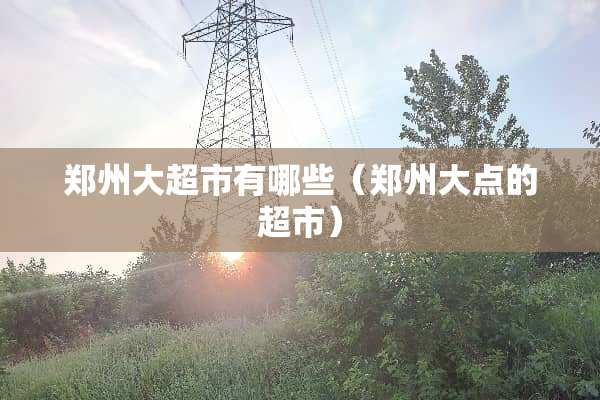 郑州大超市有哪些（郑州大点的超市）
