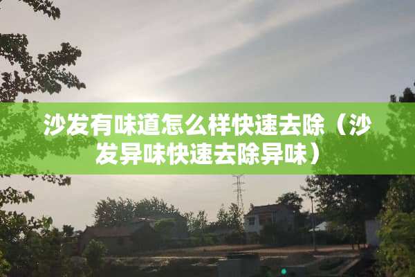 沙发有味道怎么样快速去除（沙发异味快速去除异味）
