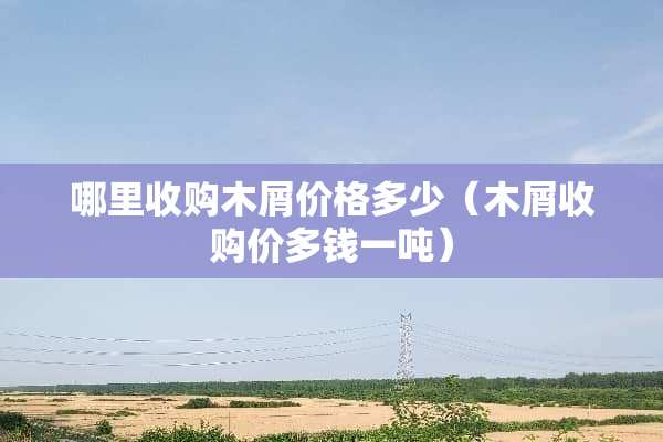 哪里收购木屑价格多少（木屑收购价多钱一吨）