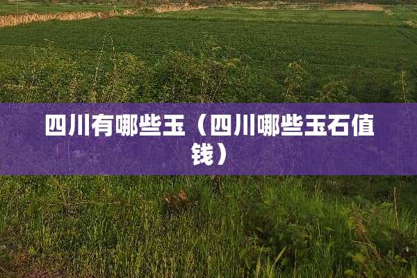 四川有哪些玉（四川哪些玉石值钱）