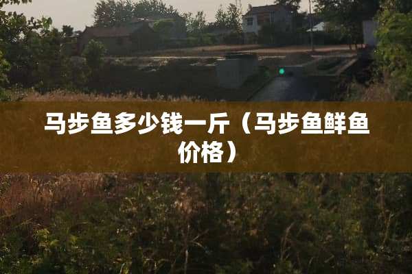 马步鱼多少钱一斤（马步鱼鲜鱼价格）